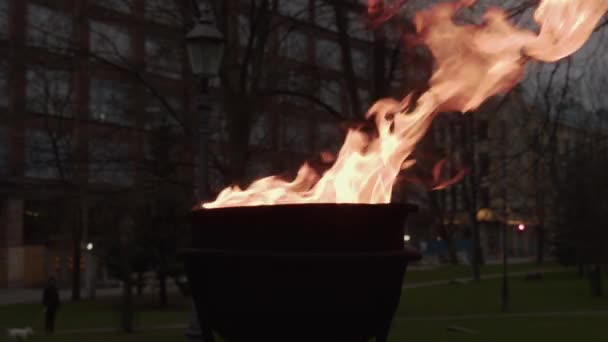 Flaming Fire Cauldron Public City Park Memorial Fallen Soldiers — Vídeo de stock