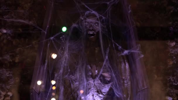 Mummy Covered Spider Web Museum — Vídeos de Stock