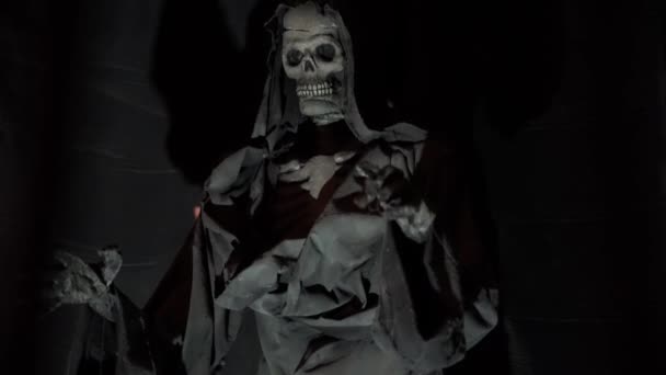 Manikin Skeleton Darkness Museum — стоковое видео