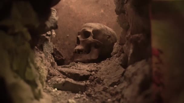 Skull Head Hole Museum — Stock Video