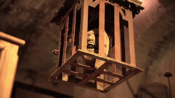 Head Mummy Box Cage Museum — Vídeo de stock