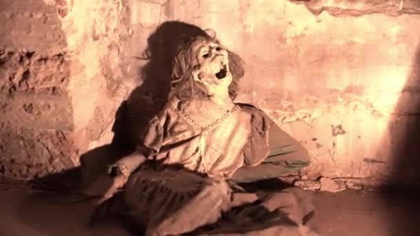Replica Mummified Woman Ground Museum — Vídeos de Stock