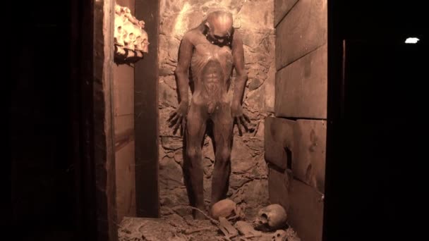 Replica Mummified Man Museum — Video Stock