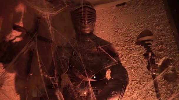 Knight Armor Covered Spider Web Museum — Vídeo de Stock