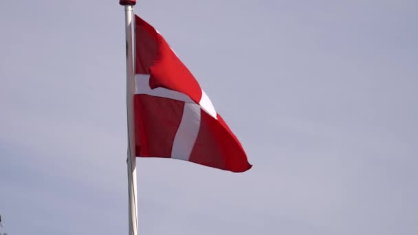 Denmark Flag Waving Wind Blue Sky Slow Motion Static — Vídeo de Stock