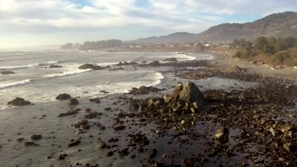 Southern Oregon Coast Brookings Drone Backwards Mcvay Rock State Recreation — Stok video