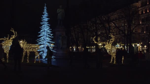 Creative Christmas Light Decoration Displays Night City Park — Stock video