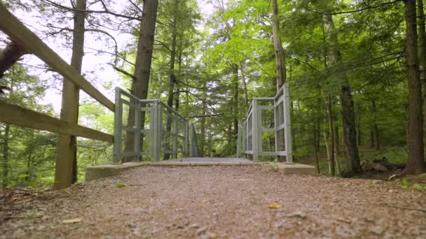 Male Hiker Backpack Walks Quickly Metal Staircase Camera Forest Landscape — Stockvideo