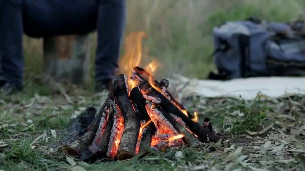 Close Shot Hand Throwing Stick Burning Campfire — ストック動画