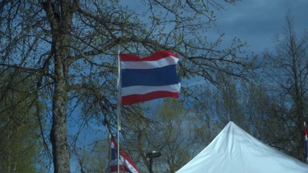 ธงชาต ไทยบ นในลมฤด ใบไม เทศกาล — วีดีโอสต็อก