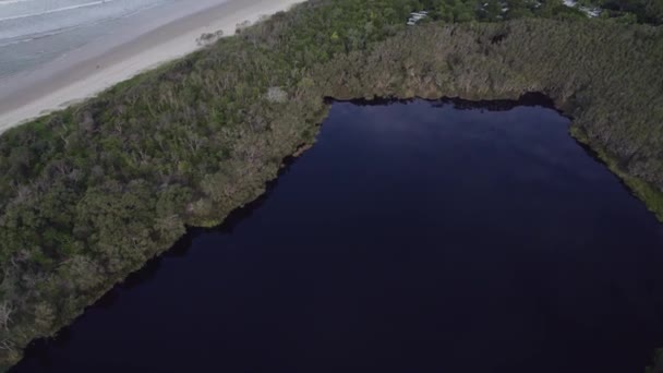 Flying Tree Lake Aboriginal Area Broken Head Beach Byron Bay — Stockvideo