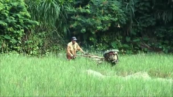 Sukabumi Indonesia May 2022 Farmer Plowing Muddy Field Hand Tractor — Stock video