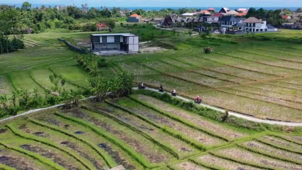 Skotrar Kör Smal Väg Genom Bali Risfält Solig Dag Antenn — Stockvideo