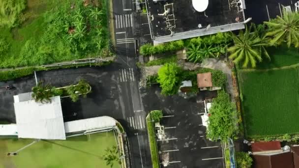 Spinning Aerial Top Black Road Motorbikes Tropical Rice Field Berawa — Stockvideo