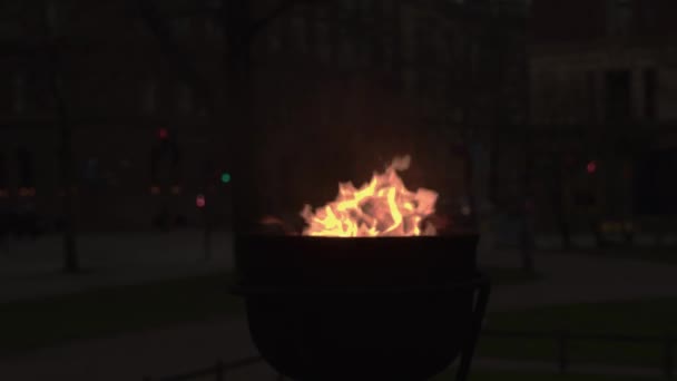 Flames Flicker Dance Metal Cauldron Pubic City Park Evening — Stock Video