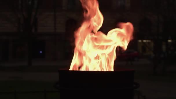 Yakın Çekim Şehir Parkındaki Metal Kazanda Savaş Anıtı Olarak Yangın — Stok video