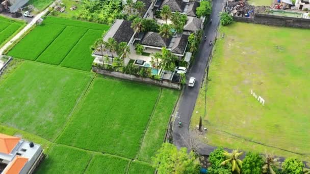 Cars Motorbikes Driving Road Berawa Bali Next Green Rice Fields — Stockvideo