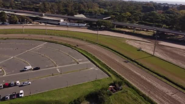 Dynamische Luftaufnahmen Eines Reiters Der Sein Pferd Auf Dem Pferderennplatz — Stockvideo