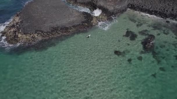 Fale Rozbijają Się Bazaltowych Kolumnach Skalnych Fingal Head Causeway Surferami — Wideo stockowe