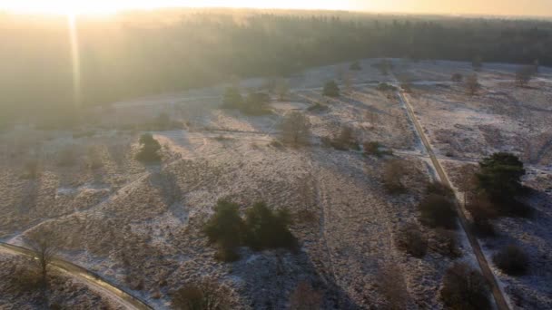 Luminosa Luce Del Sole Attraverso Heath Landscape Forest Edge Nel — Video Stock