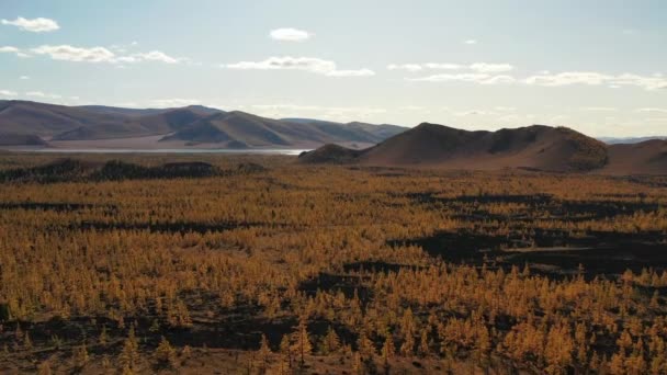 Воздушная Тележка Дневное Время Леса Озера Осенью Монголия — стоковое видео