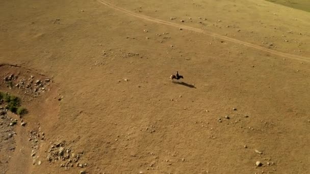 Horse Rider Alone Galloping Yurt Mongolian Steppe Sunny Daytime Aerial — ストック動画