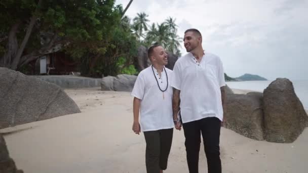 여행객들 바위가 해변을 해변에서 얼굴에 미소를 이야기하는 — 비디오