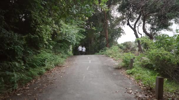 Handsome Gay Men Walking Asphalt Road Holding Hands Tropical Island — Stok Video