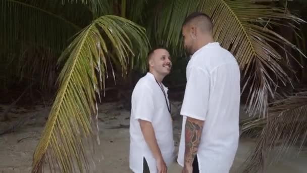 Two Male Gay Lovers Kissing Tropical Beach Palm Tree Smiling — 图库视频影像