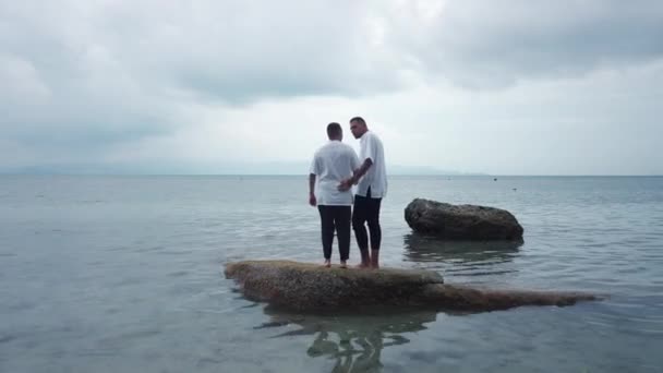 Back Gay Couple Enjoying Seascape View Standing Rock Sea — Wideo stockowe
