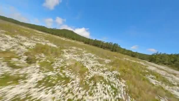 Aerial Fpv Drone Acrobatic Flight Landscape National Park Valle Nuevo — ストック動画
