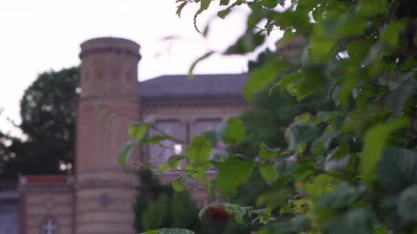 Mansion Evening Light Hedge Foreground Karlsruhe Germany — стоковое видео