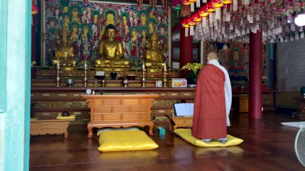 Rear View Religious Korean Monk Praying Temple Front Golden Buddha — Stockvideo