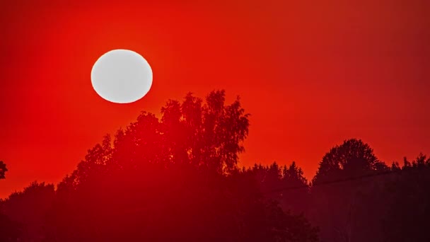 Fiery Sunset Tight Shot Giant Sun Crossing Sky Trees Silhouette — Video Stock