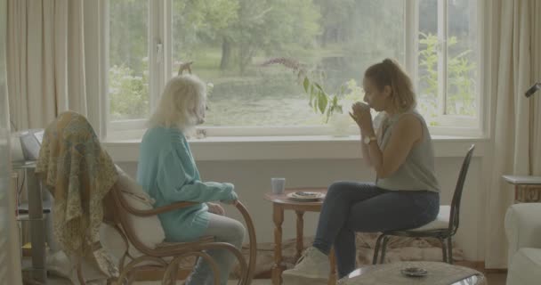 Caregiver Shares Cup Coffee Elderly Woman Cozy Living Room Overlook — 비디오