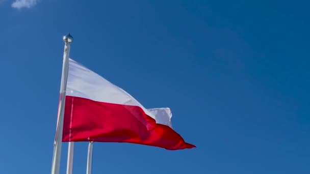 Slow Motion Shot Polish Flag Waving Outdoors Flagpole Blue Sky — стоковое видео