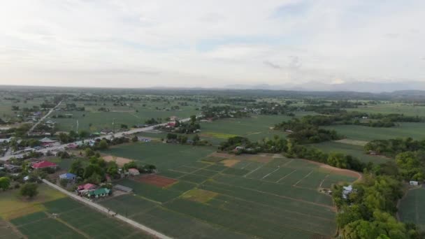 Aerial View Green Field Houses Trees Cloudy Day Quality — Vídeo de Stock