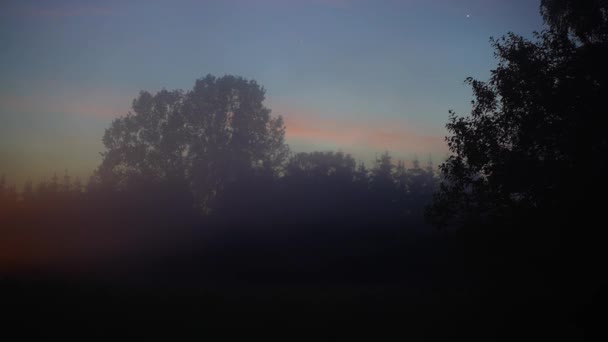 Fuzzy Evening Muritz National Park Kargow Germany Timelapse — 图库视频影像