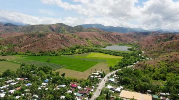 Aerial View Green Rice Field Mountain Clear Sky Daytime Quality — 비디오