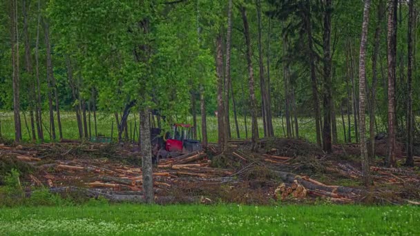 Shot Forest Harvester Sawing Tree Trunks Forest While Clearing Forest — Stockvideo
