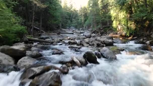 Summertime Peaceful Drone Shot Flowing River Mountains Sierra Nevadas Dense — 비디오