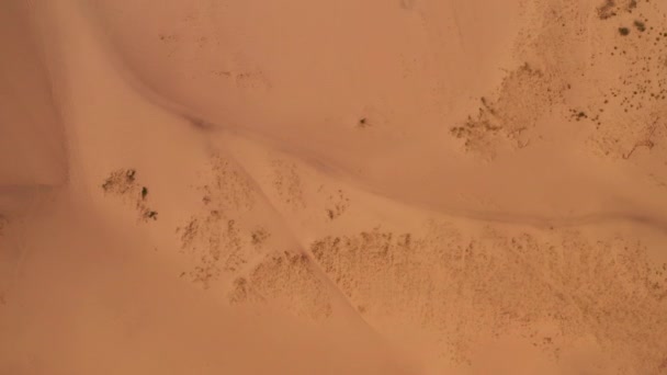 Day Aerial View Sand Dunes Gobi Desert — Stok video