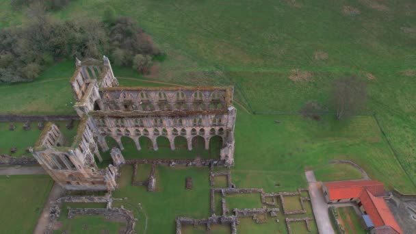 Birds Flying Ruins Rievaulx Abbey Cistercian Monastery Greenery Landscape Yorkshire — Stok video