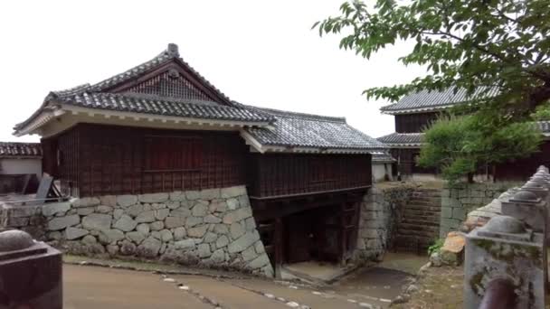 Beauty Matsuyama Castle — Stockvideo