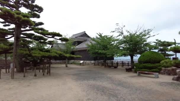 Beauty Matsuyama Castle — Video Stock