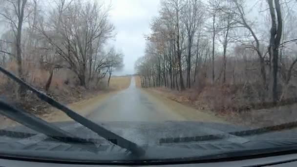 Pov Thru Windshield Active Windshield Wipers Light Rain While Driving — Vídeo de Stock