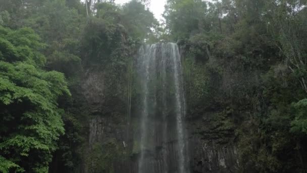 Millaa Millaa Waterfall Lush Rainforest Tablelands Region Queensland Australia Tilt — Stok video