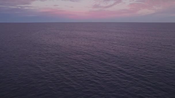 Vibrant Sunset Sky Tasman Sea Humpback Whale Swimming Surface Wide — Stock videók