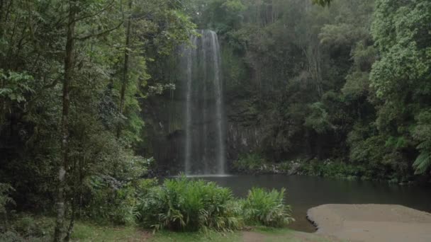 Scenic View Millaa Millaa Falls Queensland Australia Panning Shot — Stock videók
