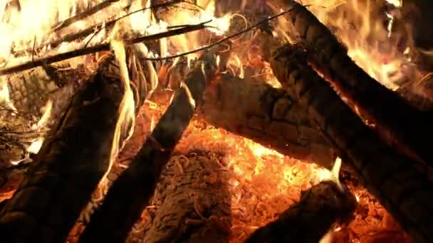 熱い炎の中で薪を燃やすキャンプファイヤーの閉鎖 — ストック動画